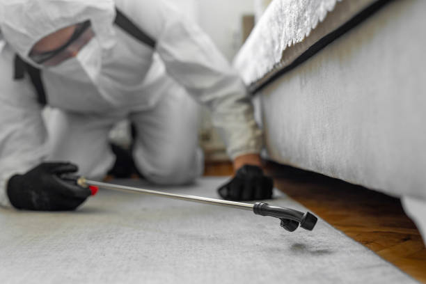 Professional Bed Bug Control technician working in Leesburg, OH