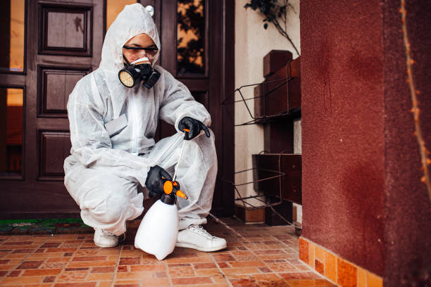 Reliable Bed Bug Control contractor in Leesburg, OH by Nex Pest Control